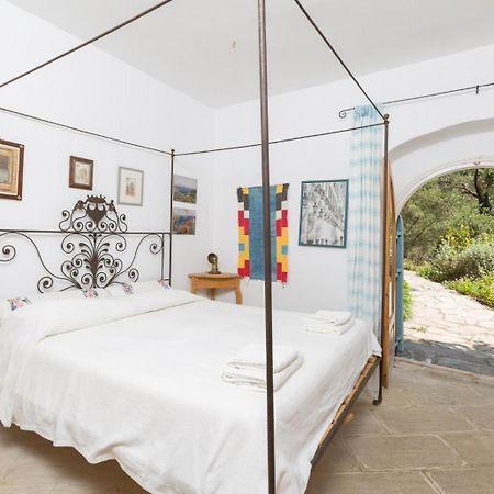 Villa The Olive Press Agni Bay Extérieur photo